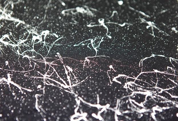 Millenium Woven with Print